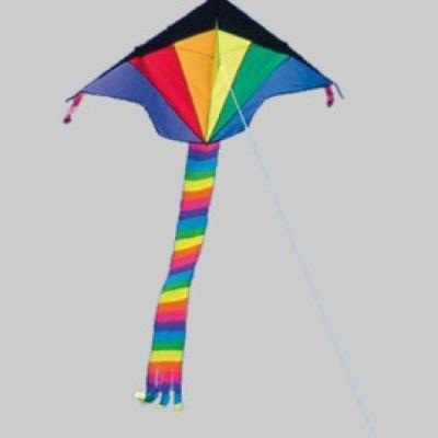 Eco Line Simple Flyer Rainbow 120cm